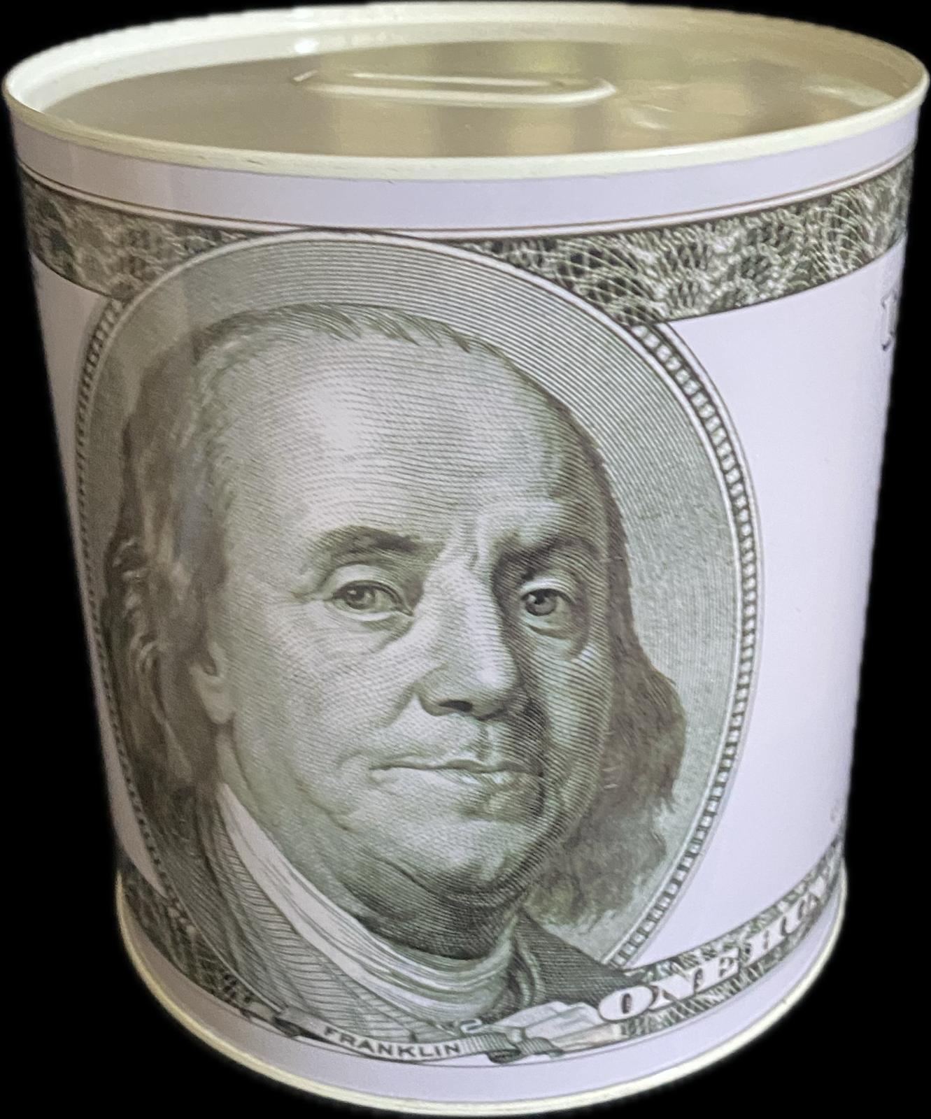 $100 Bill Savings Bank
